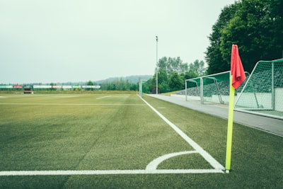 يلاغورومنحياتيكيفتتخلصمنالتأثيراتالسلبيةللأشخاصالسامين